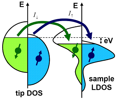 schematic of spin-polarized DOS